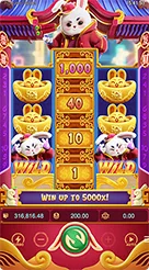 api33 · Fortune Rabbit